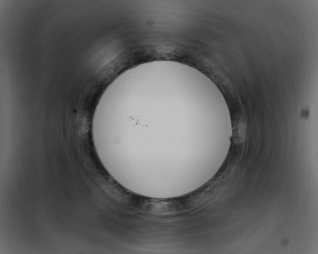 X0000102000472200808081704