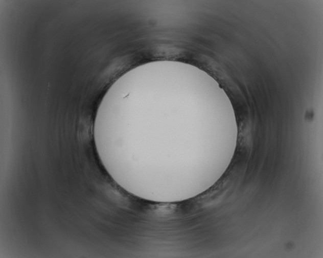 X0000102000474200808081704