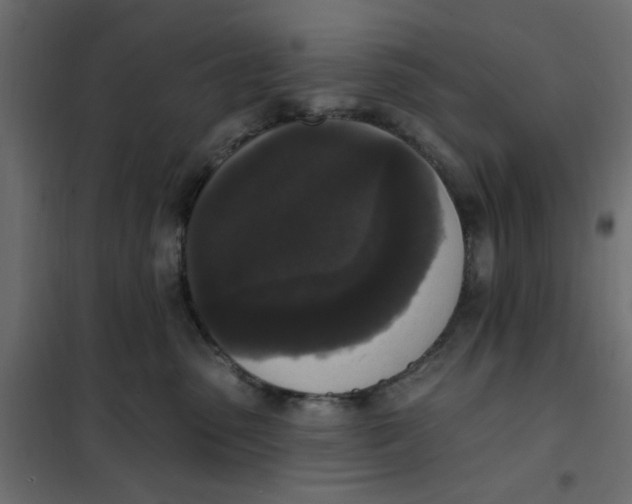 X0000102000475200808081704