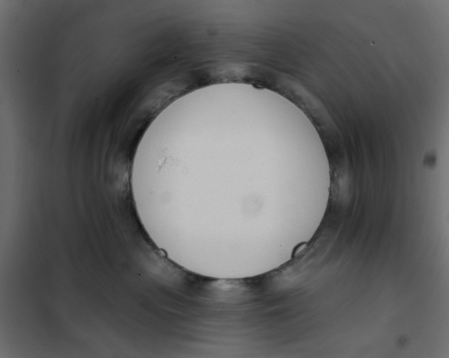 X0000102000477200808081704