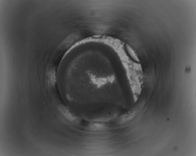 X0000102000479200808081704