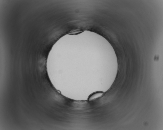 X0000102000480200808081704