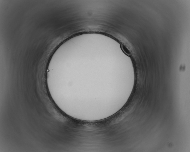 X0000102000481200808081704