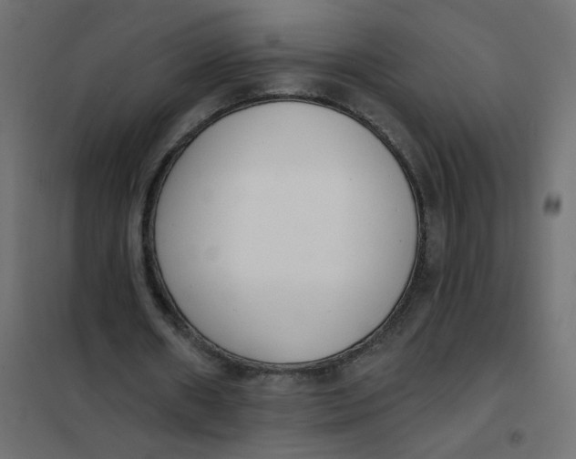 X0000102000482200808081704