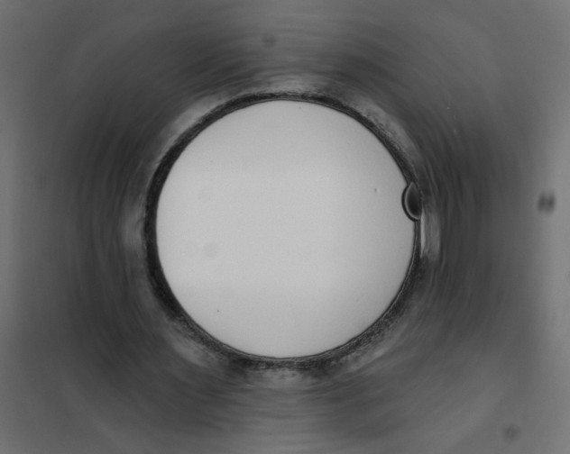 X0000102000483200808081704