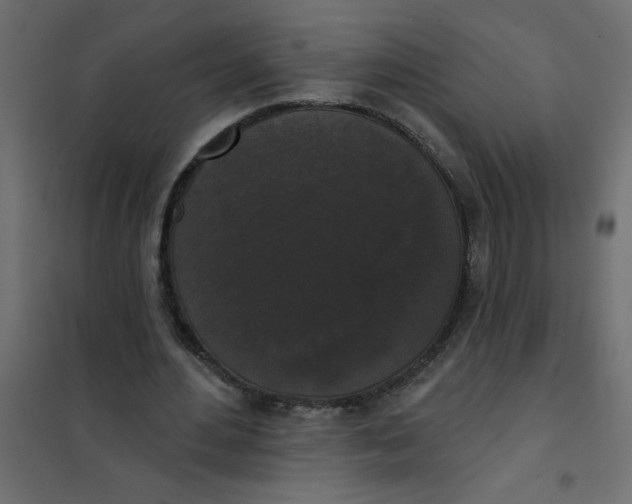 X0000102000484200808081704