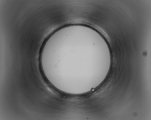 X0000102000485200808081704