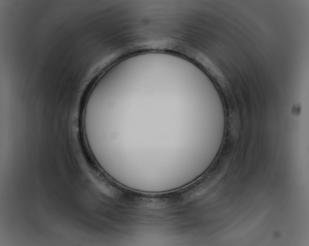 X0000102000486200808081704