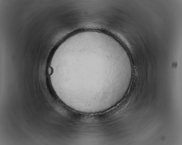 X0000102000487200808081704