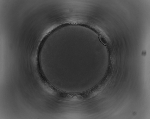 X0000102000488200808081704