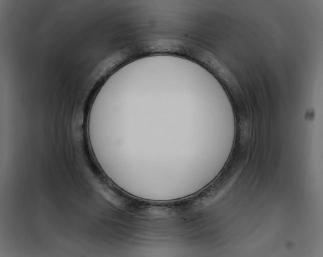 X0000102000490200808081704