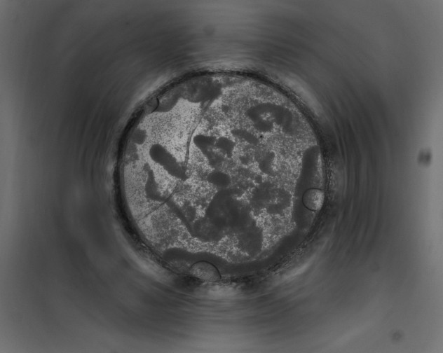 X0000102000491200808081704