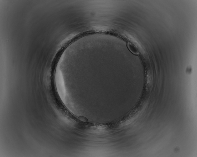 X0000102000492200808081704