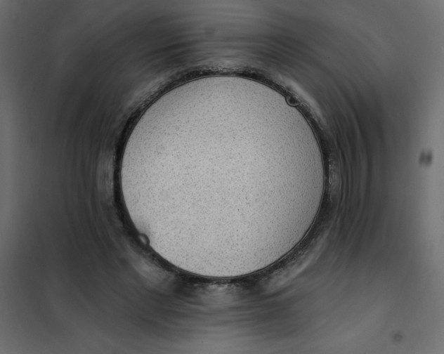 X0000102000493200808081704