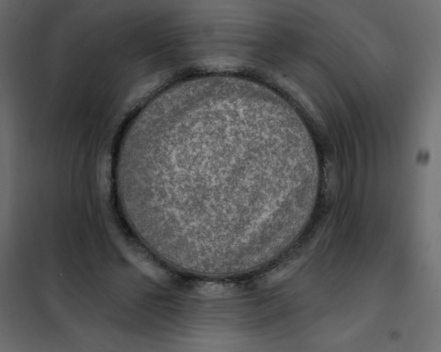 X0000102000494200808081704