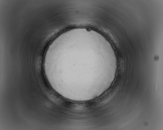 X0000102000495200808081703