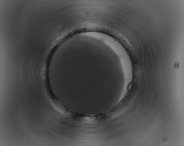 X0000102000496200808081703