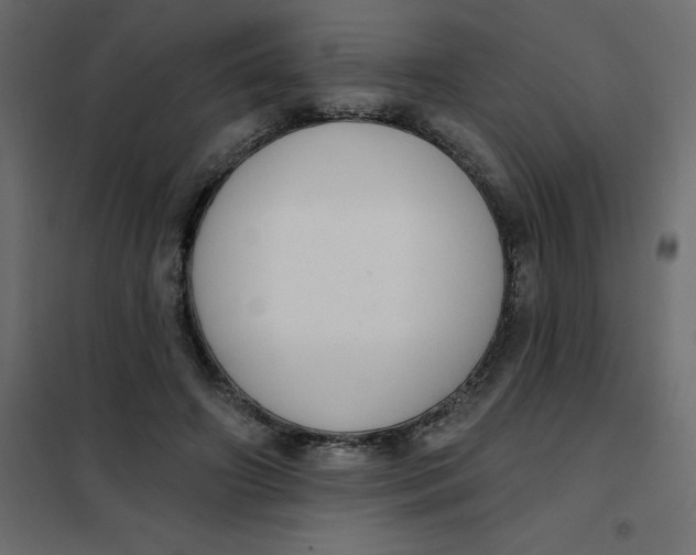 X0000102000498200808081703