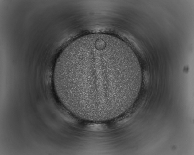 X0000102000499200808081703