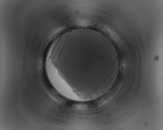 X0000102000500200808081703