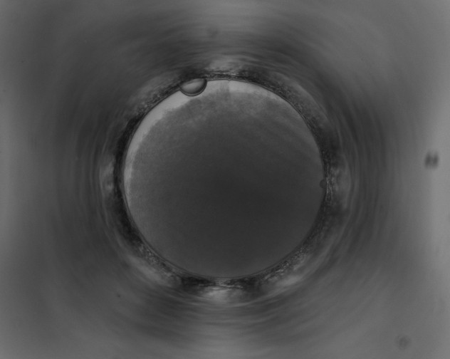 X0000102000504200808081703