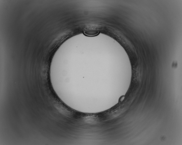 X0000102000505200808081703