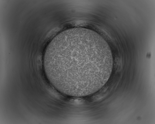 X0000102000506200808081703