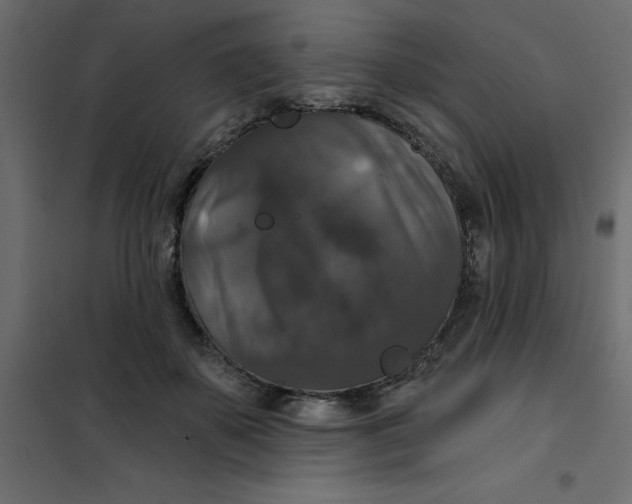 X0000102000507200808081703