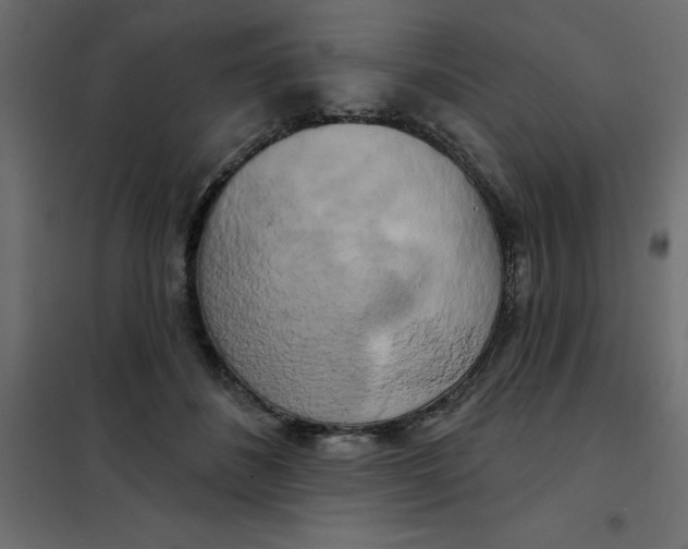 X0000102000508200808081703