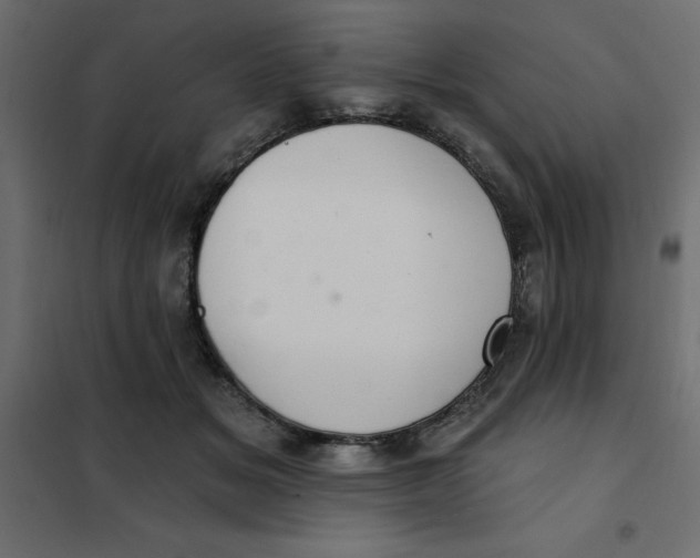 X0000102000509200808081703