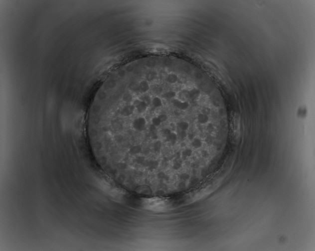 X0000102000511200808081703