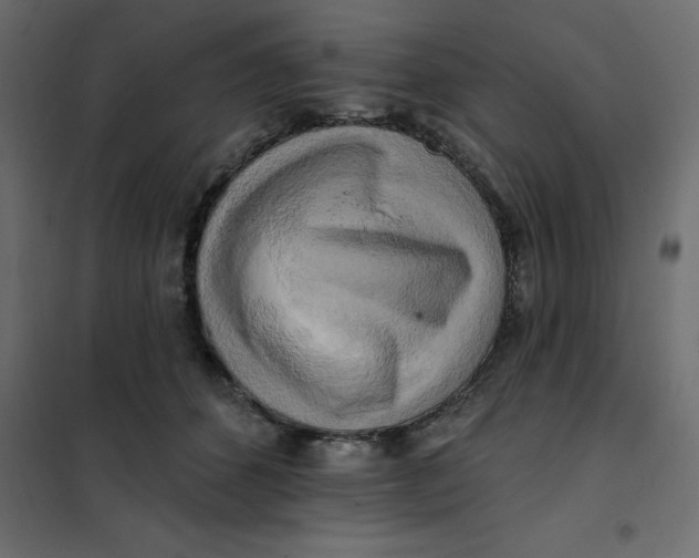 X0000102000512200808081703