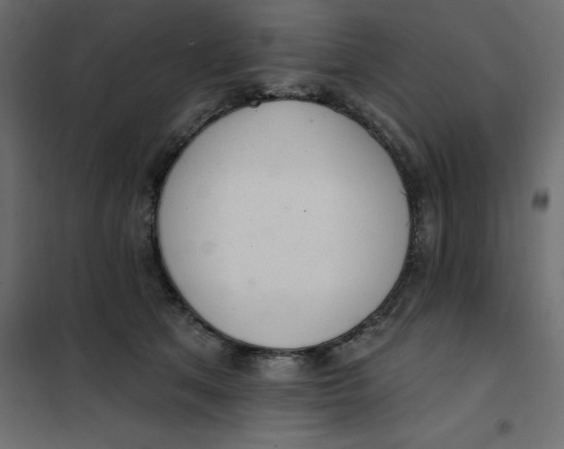 X0000102000513200808081703