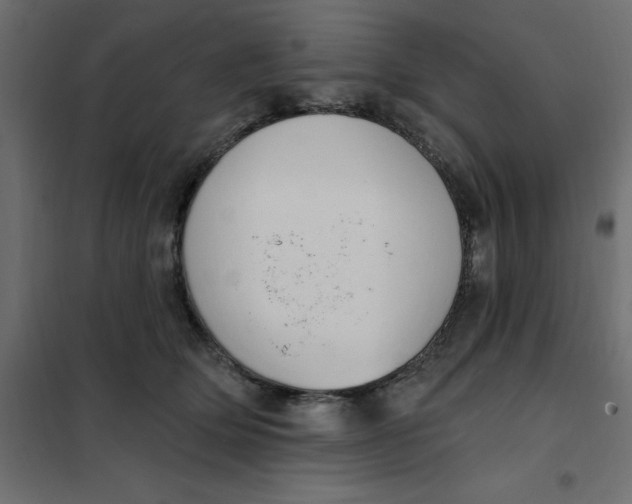 X0000102000514200808081703