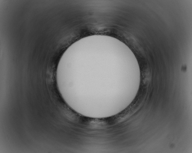 X0000102000515200808081703