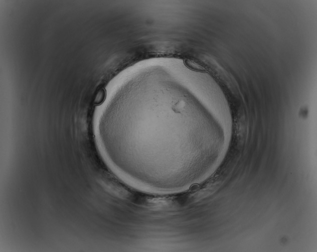 X0000102000516200808081703