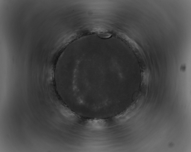 X0000102000517200808081703