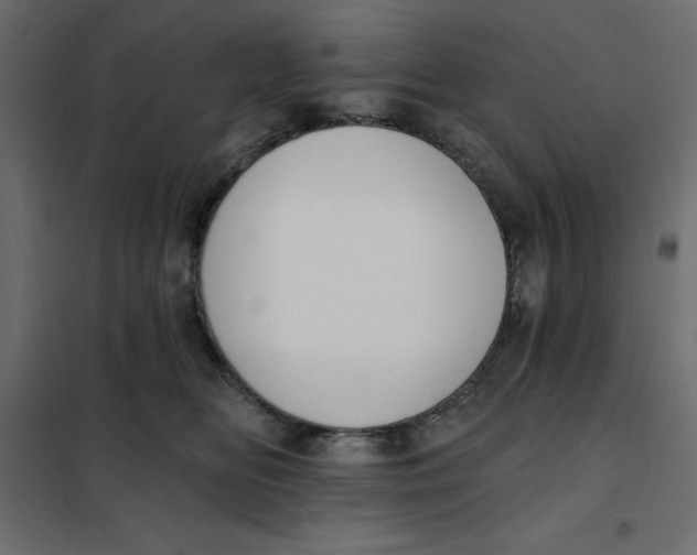 X0000102000518200808081703