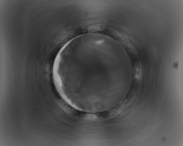 X0000102000519200808081703