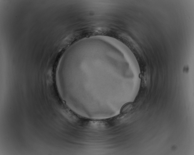 X0000102000520200808081703