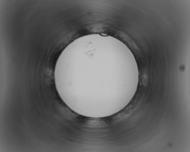 X0000102000521200808081703