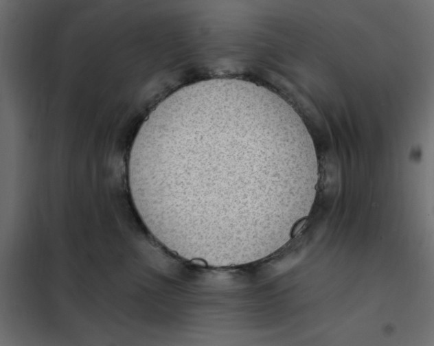 X0000102000523200808081703