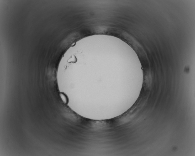 X0000102000525200808081703