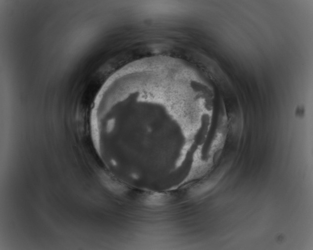 X0000102000527200808081703