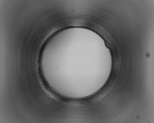 X0000102000530200808081702