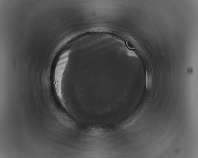 X0000102000531200808081702