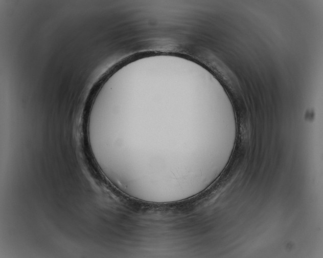 X0000102000532200808081702