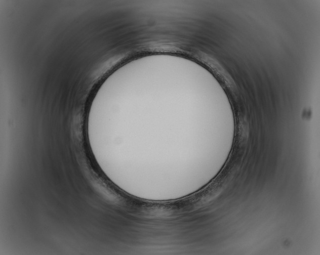 X0000102000533200808081702