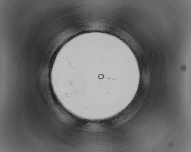 X0000102000534200808081702