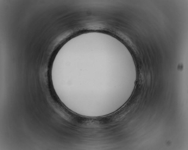 X0000102000535200808081702